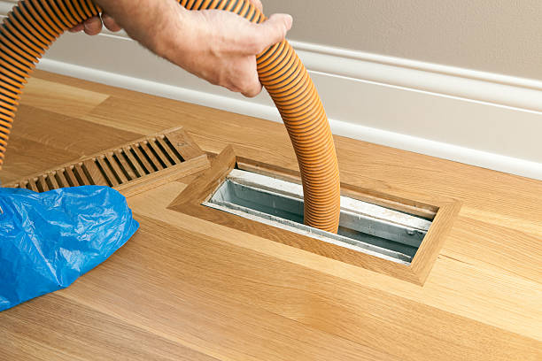 Best Professional Duct Cleaning Services  in St Augustine, FL